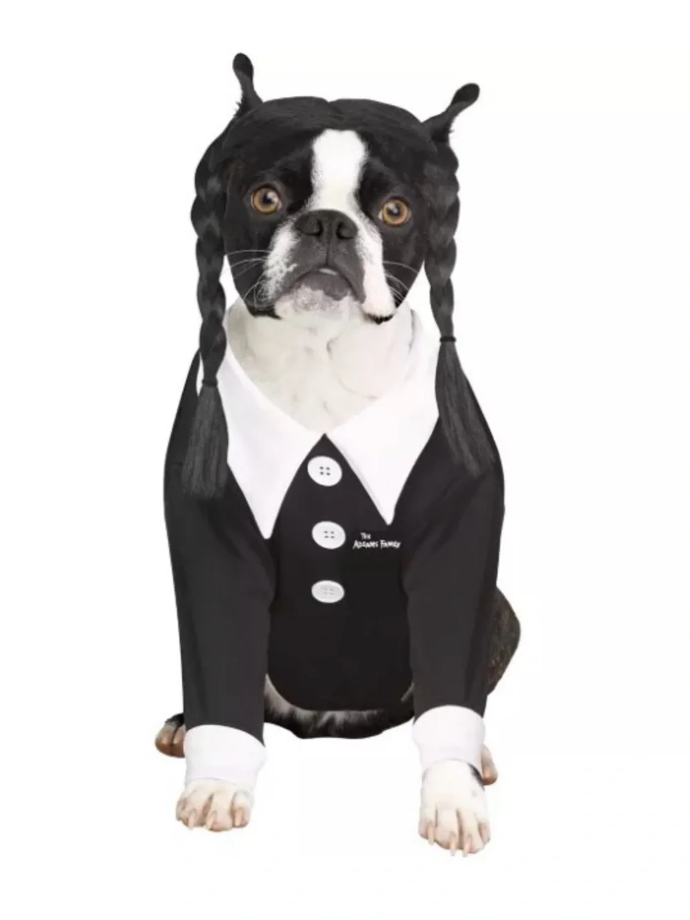 Spirit Addams Family Black & White Wednesday Adam’s Dog Costume with Braided Wig